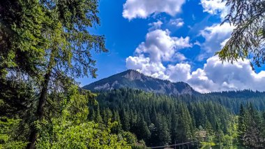 Dağların güzel manzarası