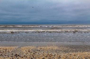 Kışın Baltık Sahili. Letonya sahilinde bir sahil. Letonya