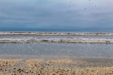 Güneşli bir günde Baltık Denizi 'nin güzel manzarası