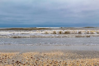 Baltık Denizi kıyılarında kış
