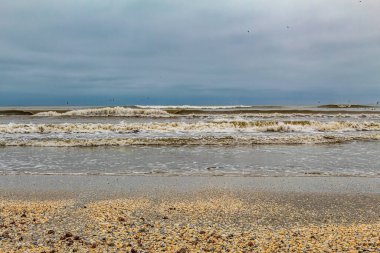 Kuzey Denizi 'nin deniz kıyısı