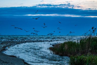 Doğal manzaranın güzel manzarası