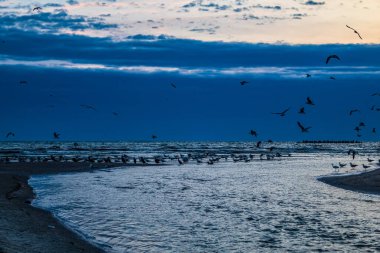 Sahilde güzel bir gün batımı