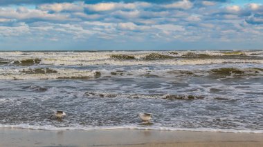 Beyaz deniz ve dalgalar kumsalda