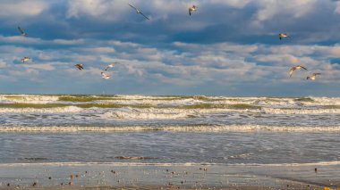 Güzel deniz dalgaları ve kumsal