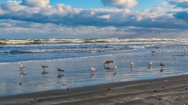 Sabah Baltık Sahili.