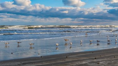 Doğanın güzel manzarası