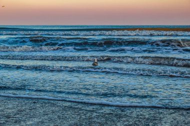 Karadeniz 'de gün batımı