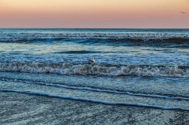 Denizde gün batımı, kışın plaj