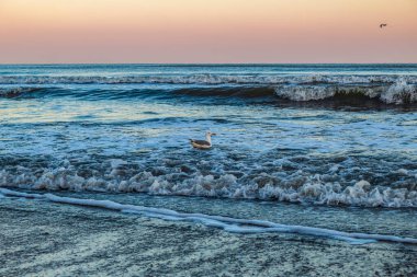Sahilde güzel bir gün batımı