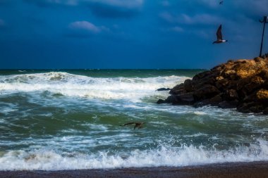 Sahildeki deniz dalgaları
