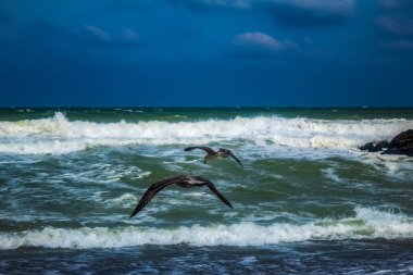 Kışın Karadeniz kıyısında