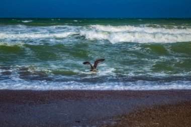 Arkasında büyük bir dalga olan Karadeniz