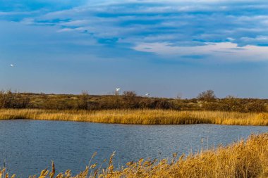 Göl manzarası çok güzel. Doğa