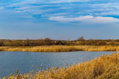 Güzel bir göl ve mavi gökyüzünün altında beyaz bulutlu bir tarla.