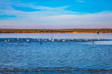 Güzel deniz manzarası