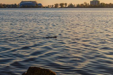 Sahilde güzel bir gün batımı