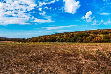 Renkli bir sonbahar tarlası olan sonbahar manzarası