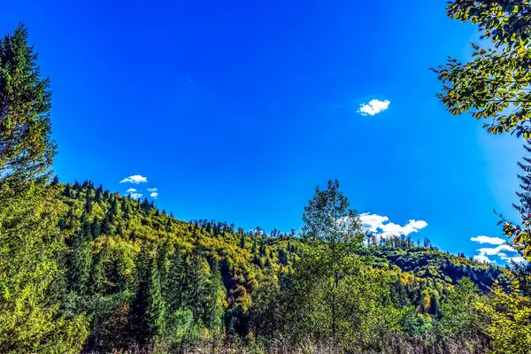 Dağlarda bir ağacı olan güzel bir manzara.