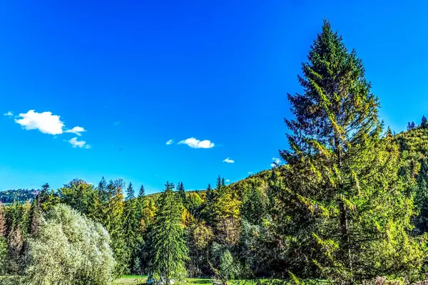 Dağların güzel manzarası