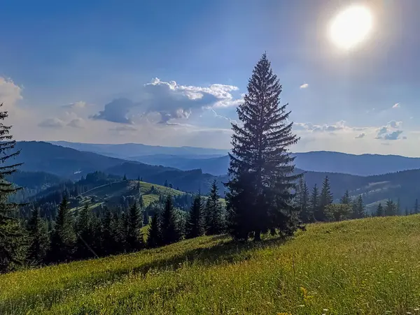 Dağların güzel manzarası