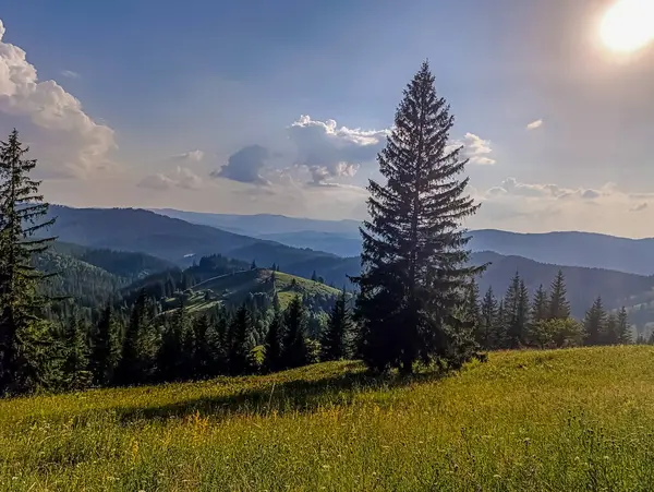 Dağlarda dağları olan güzel bir manzara.