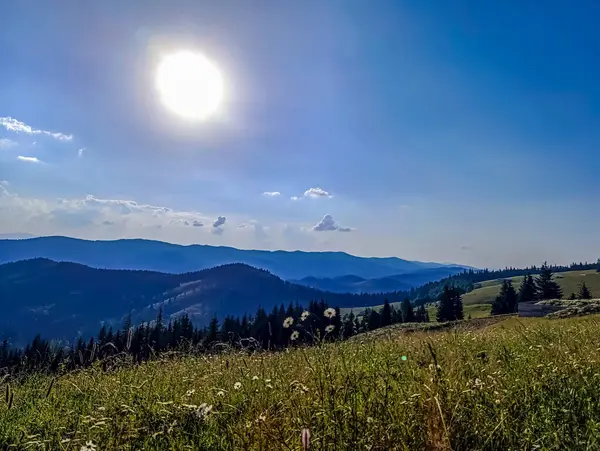 Dağlı ve mavi gökyüzü olan yaz manzarası. Karpat Dağları. ukraine
