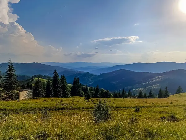 Bir dağ ve bulutların üzerinde bir orman olan güzel bir manzara.