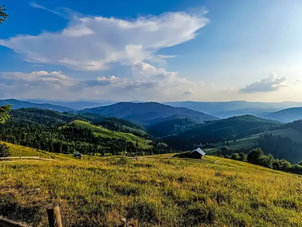 Karpat Dağları 'ndaki güzel yaz manzarası, Ukrayna