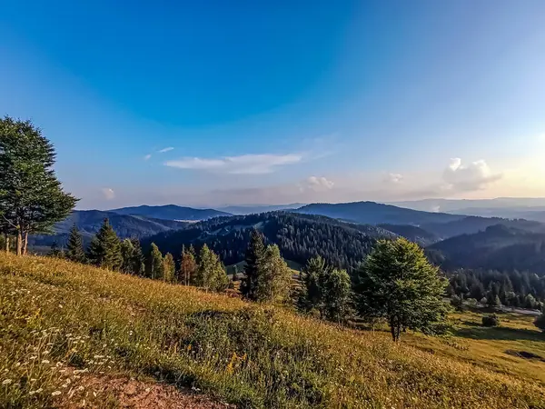 Yaz mevsiminde Karpat Dağları 'ndaki güzel dağ manzarası