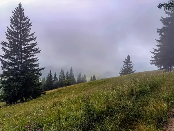 Dağlarda sisli bir sabah