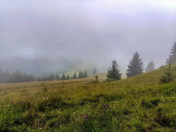 Dağların güzel manzarası