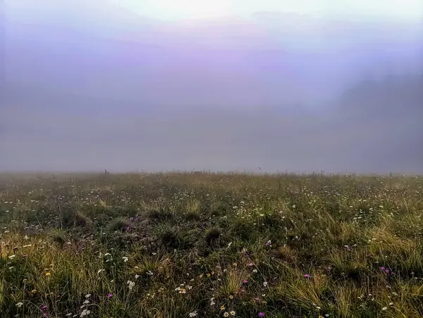 Dağlarda sabah sisi.