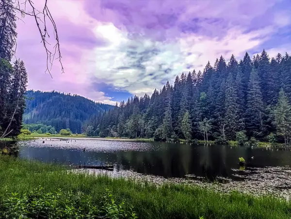 Dağlardaki güzel bir gölün dikey görüntüsü.