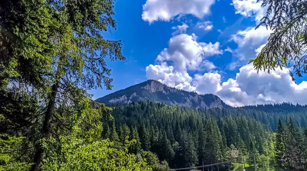 Dağların güzel manzarası