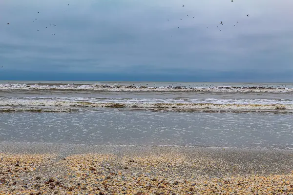 Güneşli bir günde Baltık Denizi 'nin güzel manzarası