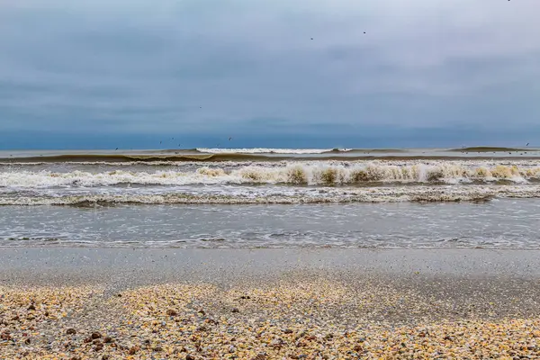 Baltık Denizi kıyılarında kış