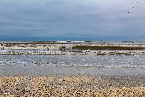 Deniz kıyısının güzel manzarası