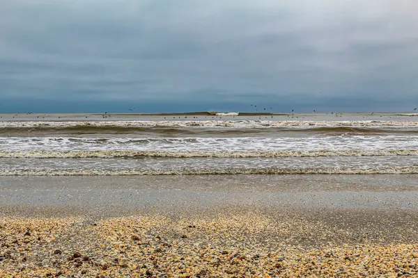 Kışın Baltık Denizi kıyısında.