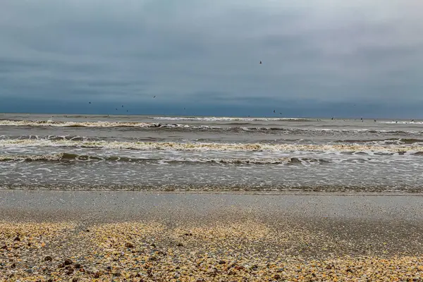 Bir yaz gününde baltık denizi. Bulutlu bir gökyüzünün kumlu kıyısı. Parlayan dalgalar. Parlayan su. Resmedilmeye değer manzara, deniz manzarası. resim gibi.