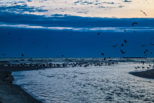 Sahilde güzel bir gün batımı