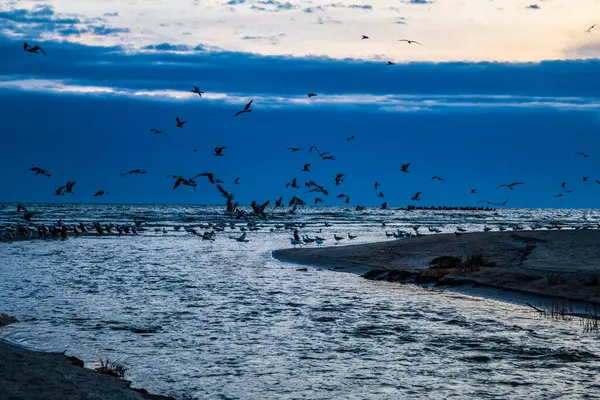 Güzel deniz manzarası