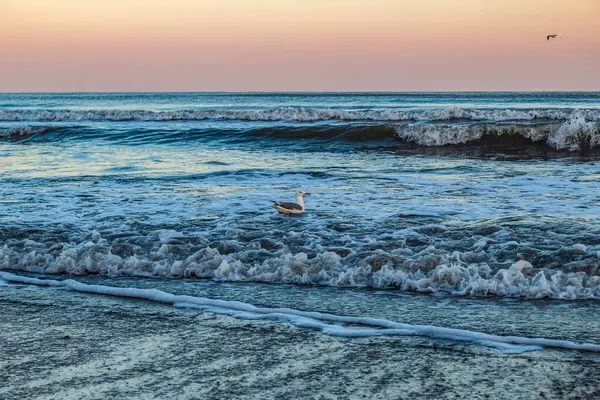 Sahilde güzel bir gün batımı