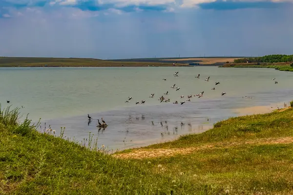 Yeşil çimenleri ve arka planda gölü olan güzel bir göl.