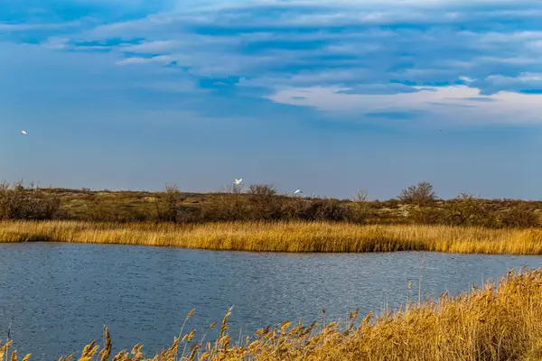 Göl manzarası çok güzel. Doğa