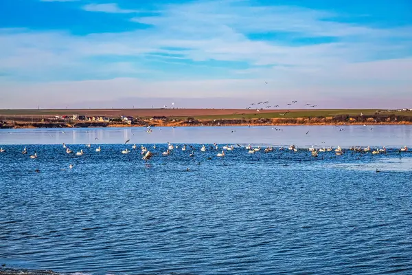 Güzel deniz manzarası