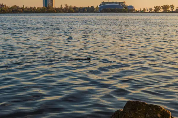 Nehirde gün batımı