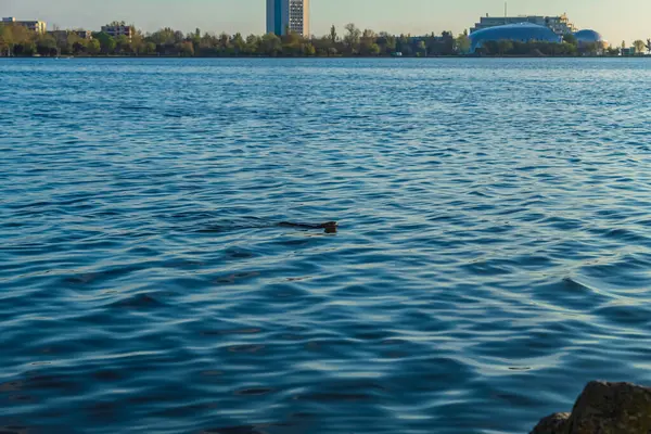 İspanya, Avrupa 'daki Barselona şehri manzarası