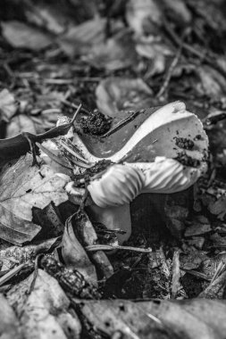 bir kuşun siyah beyaz fotoğrafı