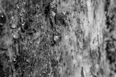 Soyut siyah beyaz arkaplan. Monokrom dokusu